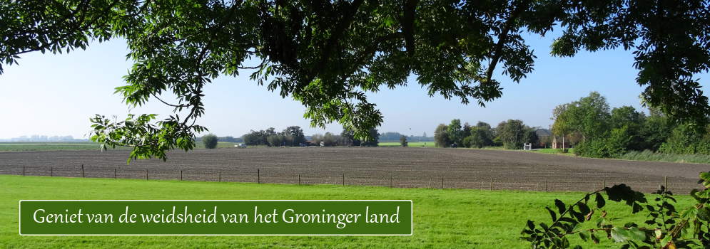 Weidsheid van het landschap in Noord Groningen