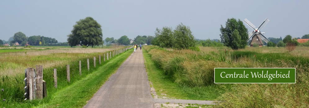 Fietsen op een fietspad in het Centrale Woldgebied van Groningen