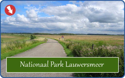 Natuur en weg in Nationaal Park Lauwersmeer, Groningen en Friesland