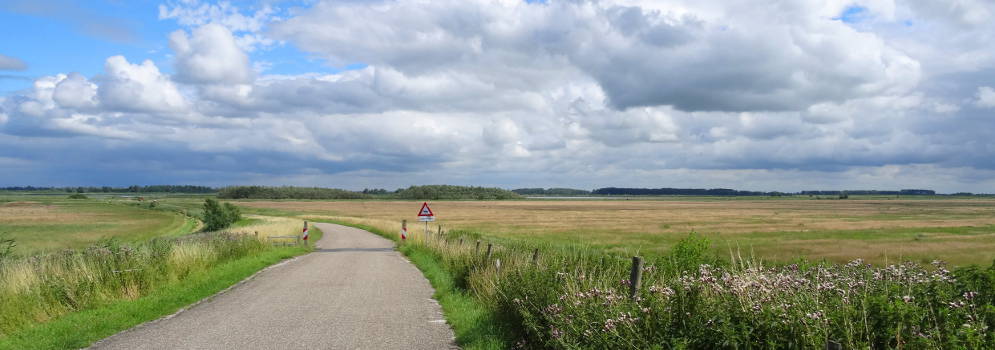 Weg in het Nationaal Park Lauwersmeer, Friesland