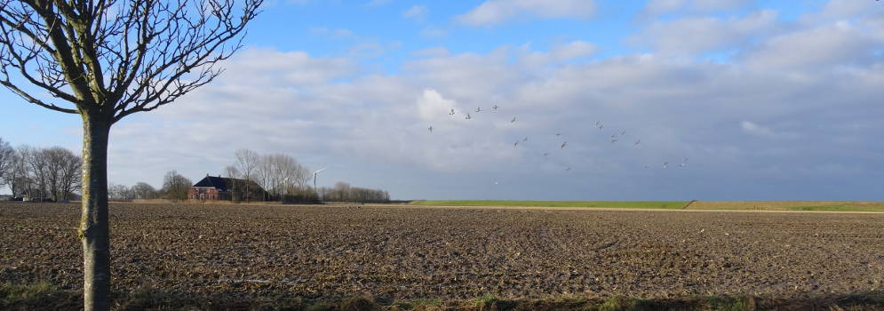 Boerderij en dijk op het platteland bij Hornhuizen, de Marne