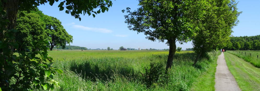 Natuurlijke graslanden en de Noordermolen in natuurgebied Kardinge, Groningen